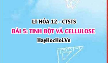 Công thức cấu tạo của Tinh bột, Cellulose? tính chất hóa học, ứng dụng của tinh bột và Cellulose? Hóa 12 bài 5 CTST
